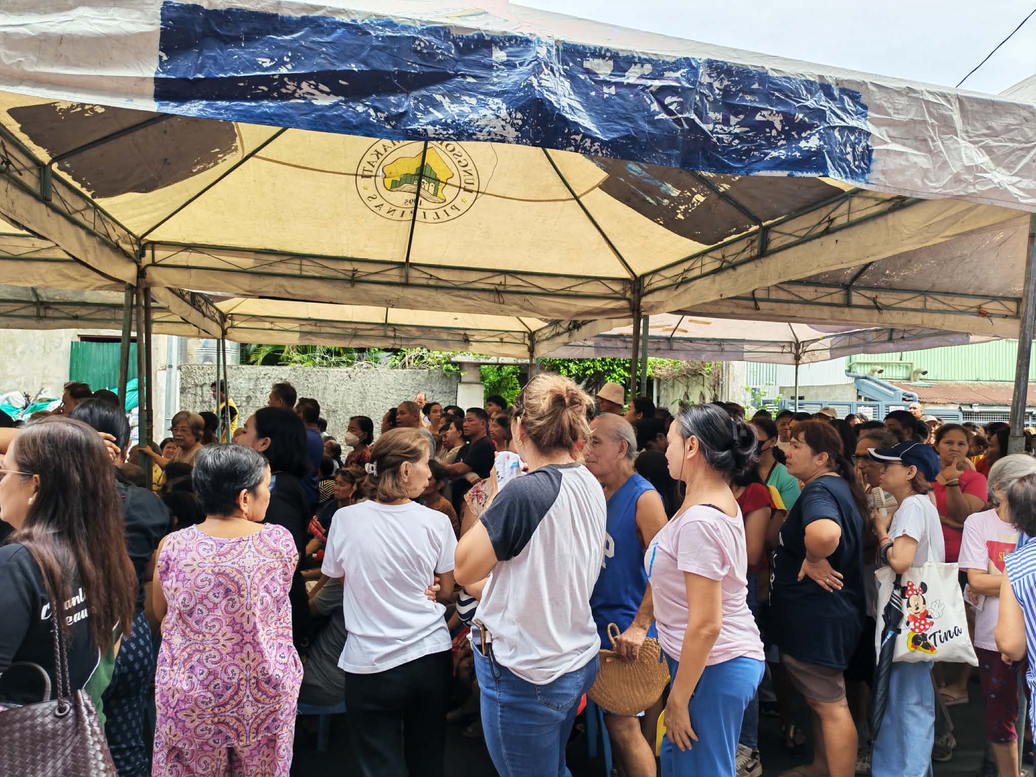 Distribution of Gulay ni Mayora Ate Nancy Binay